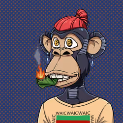 Ape Investor #2013