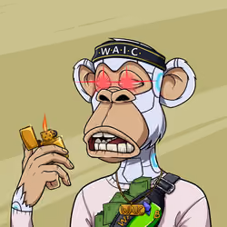 Ape Investor #3155
