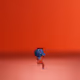 516