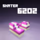 6202