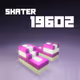 19602