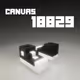 18829