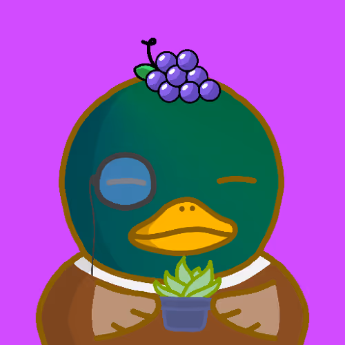 Duckboxingnft