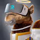 669