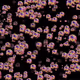 10038