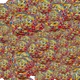 10026