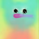 28100070004