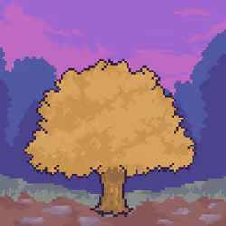 904