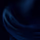 206000100001