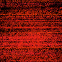 WORDS BEYOND WORDS #173