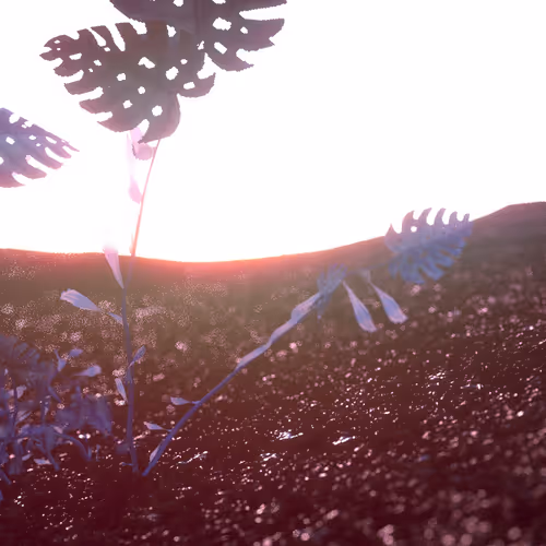 Item #79508127103274976206211075928743635846379035818084520222247456670246052322271 Media