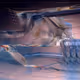 75126995133917846690915984462785890891357174624862363379428302968617629497131