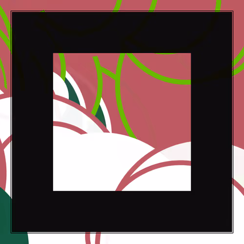 Coded Frames