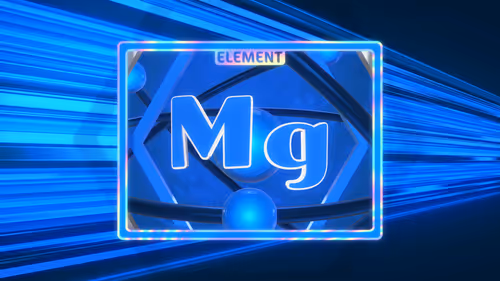 Item #12 Media