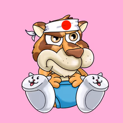 509