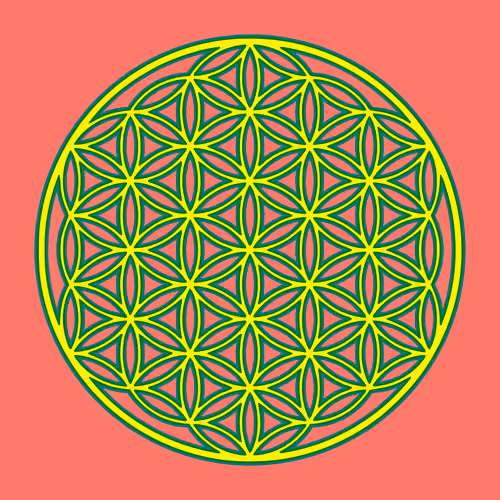 Flower of Life #17