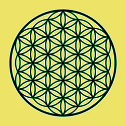 Flower of Life #63