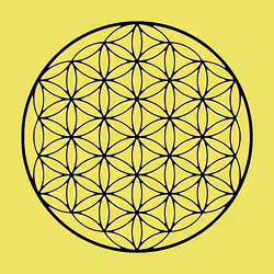 Flower of Life #16