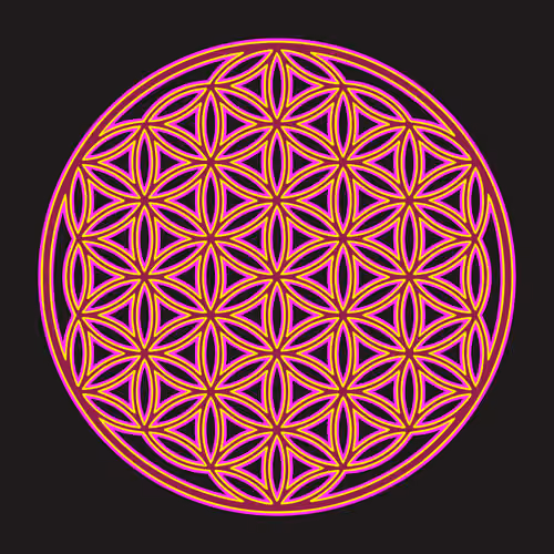 Flower of Life #4