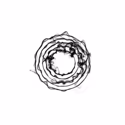1558