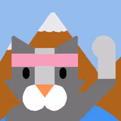 19