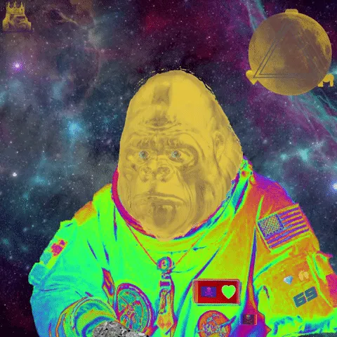 Item #1675762927573569957114775892539742438351918547933859369846340456203515002424 Media