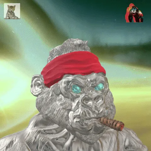 Item #15872723880927461939790401486204796207721738352549076674520965161193986120774 Media