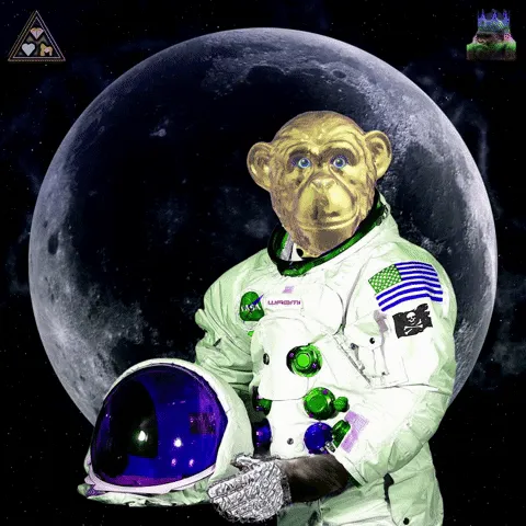 Item #63998785137758388175414576298465124553291632430125328734849078589262790365707 Media