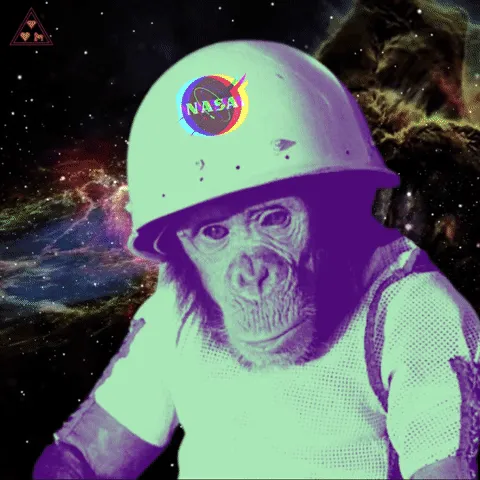 Item #86196269338306035717923416658308790554394131952329251009194477534801632652301 Media