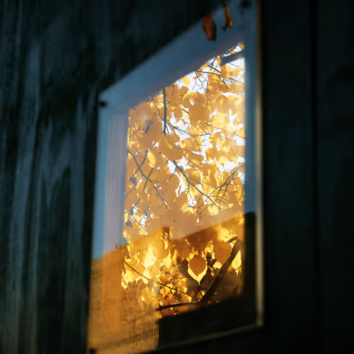 The Views By Yael Malka