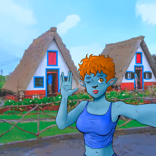 Little Traveler Pfp