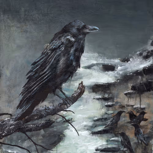 Unveiling a Conspiracy