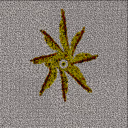 548
