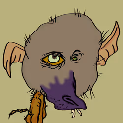 684