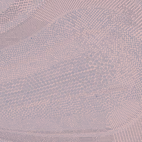 Radialartcollection
