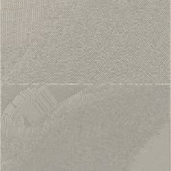 Radial #538