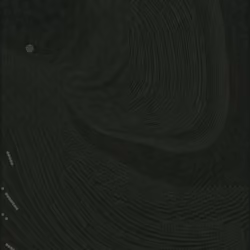 Radial #271