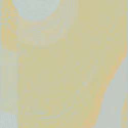 Radial #528