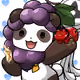 14204