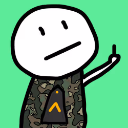 81