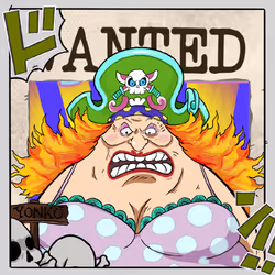 255