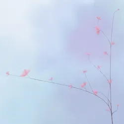 Hana's Bloom #436