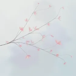 Hana's Bloom #410