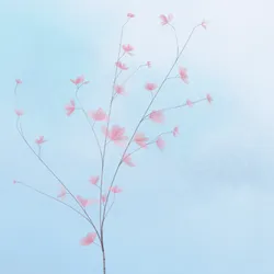 230