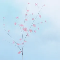 Hana's Bloom #230