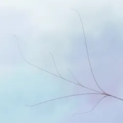 Hana's Bloom #91