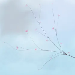 101