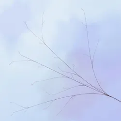 Hana's Bloom #418