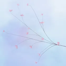 207
