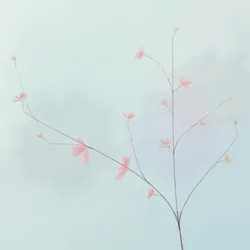129